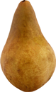 Bosc Pears