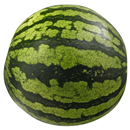 Personal Size Seedless Watermelon