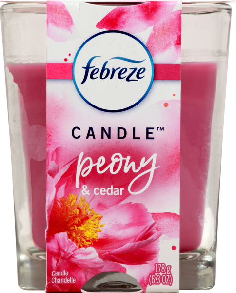Febreze Candle, Ocean 2Pk  Hy-Vee Aisles Online Grocery Shopping