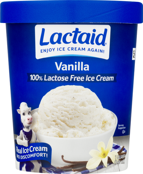 Lactose Free Vanilla Ice Cream - Wild Wild Whisk