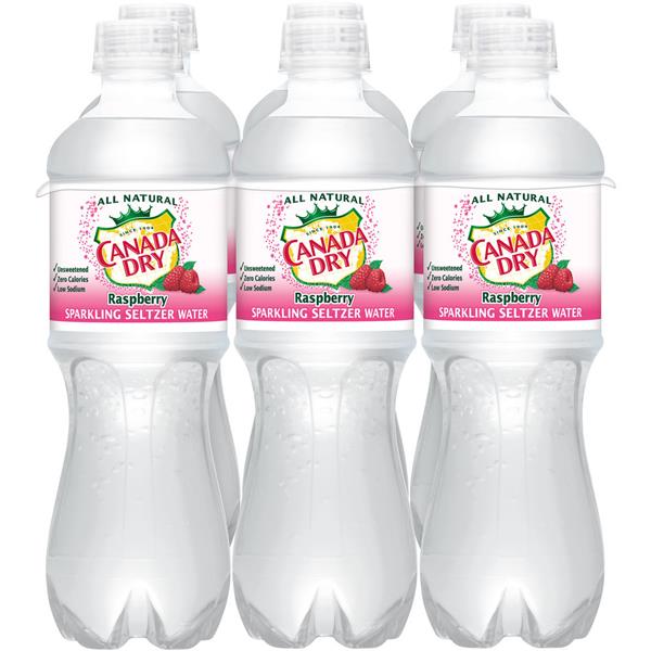 Canada Dry Sparkling Seltzer Water Raspberry 6 Pack | Hy ...