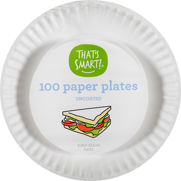 300 Pack Disposable White Uncoated Paper Plates, 9 Inch Large 300 Count