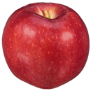 Cosmic Crisp Apple, Organic