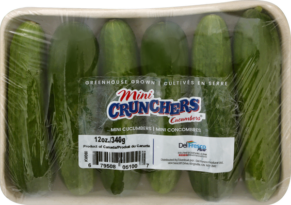 Mini Cucumbers – Stokdijk Greenhouses, Ltd