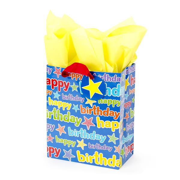 Blue House Group Birthday Gift Bags Set - 4 Large Bags With Tissue Paper & Tags (Birthday Girl Theme)