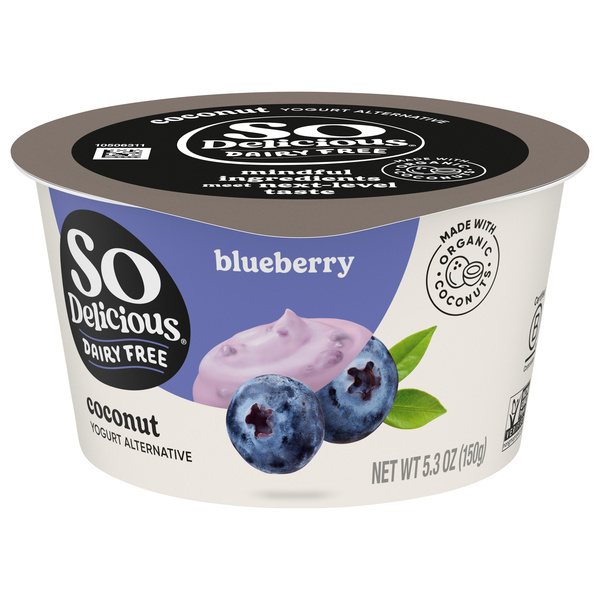 So Delicious Dairy Free Coconut Milk Blueberry Yogurt Alternative