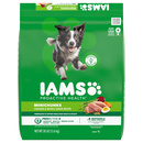 Iams Adult Mini Chunks