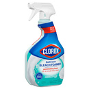 Clorox Bathroom Foamer with Bleach Original Scent Spray
