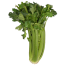 Organic Celery