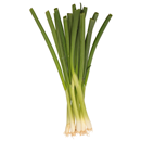 Organic Green Onions (Scallions)